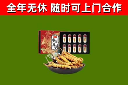 石屏县回收冬虫夏草价格