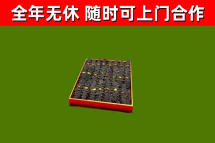 石屏县回收海参
